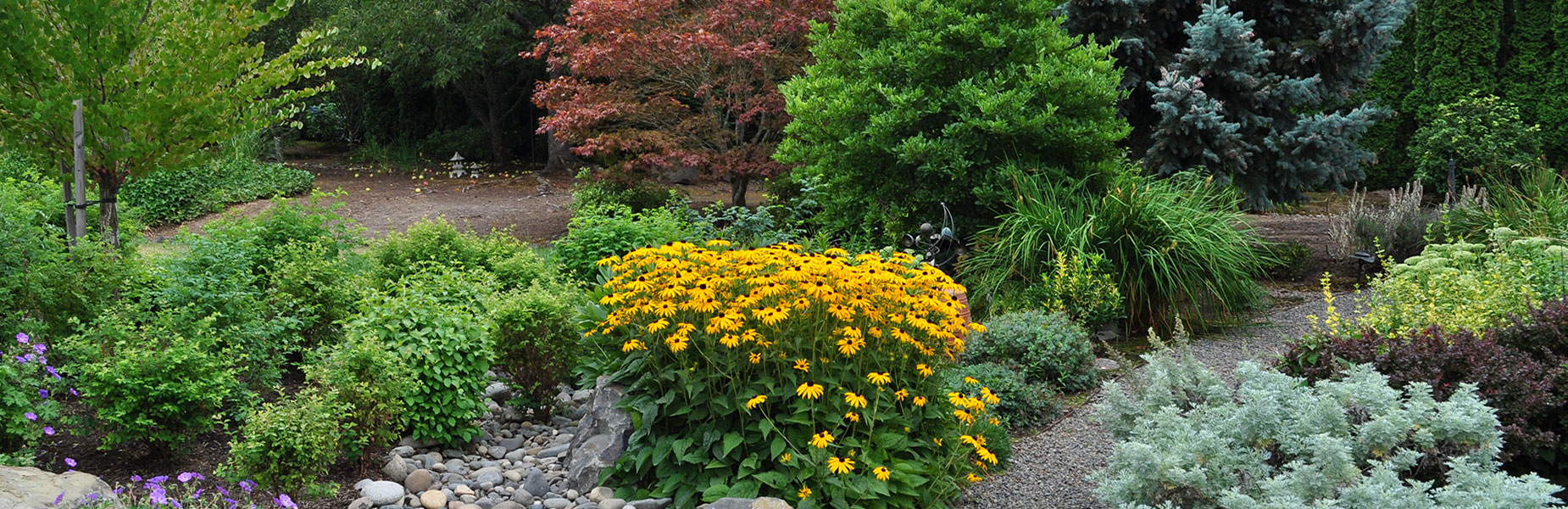 Contact Brenda Alexander, Cohesion Land Design in Kelowna, BC, offers professional landscape design services.