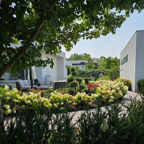 Cohesive Landscape Design combines multi medium designs expertise.