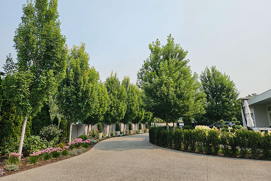 Cohesion Landscape Design project - Lakeshore Luxury Image 6.