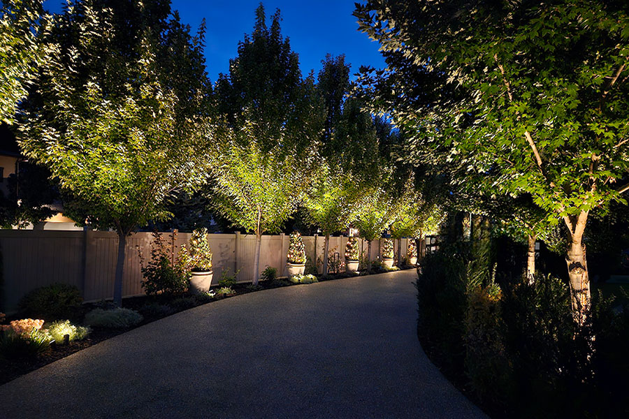 Cohesion Landscape Design project - Lakeshore Luxury Image 7.